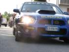 photo81_small.jpg