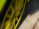 valentino_rossi_focus_wrc_small.jpg