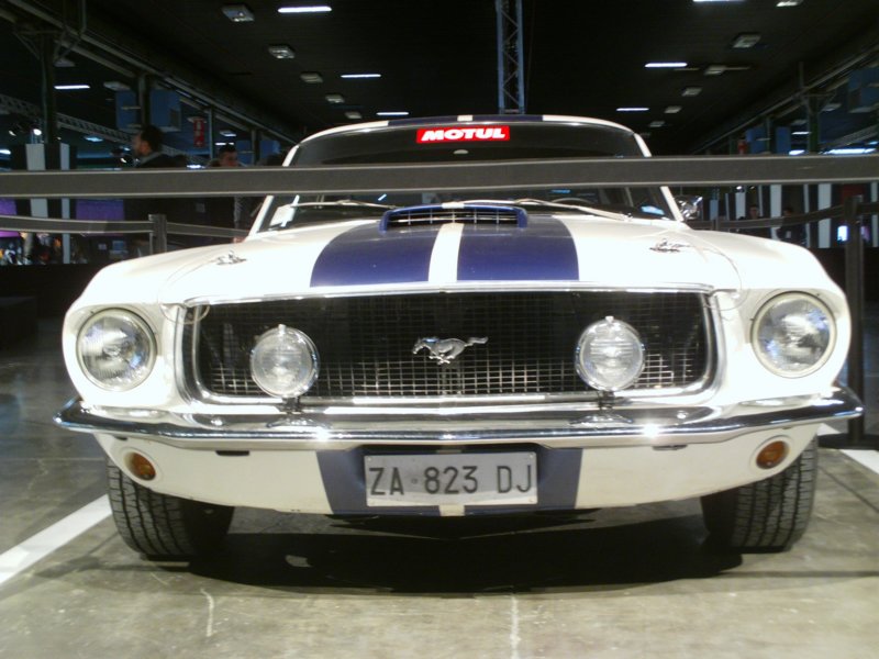 imag0053.jpg