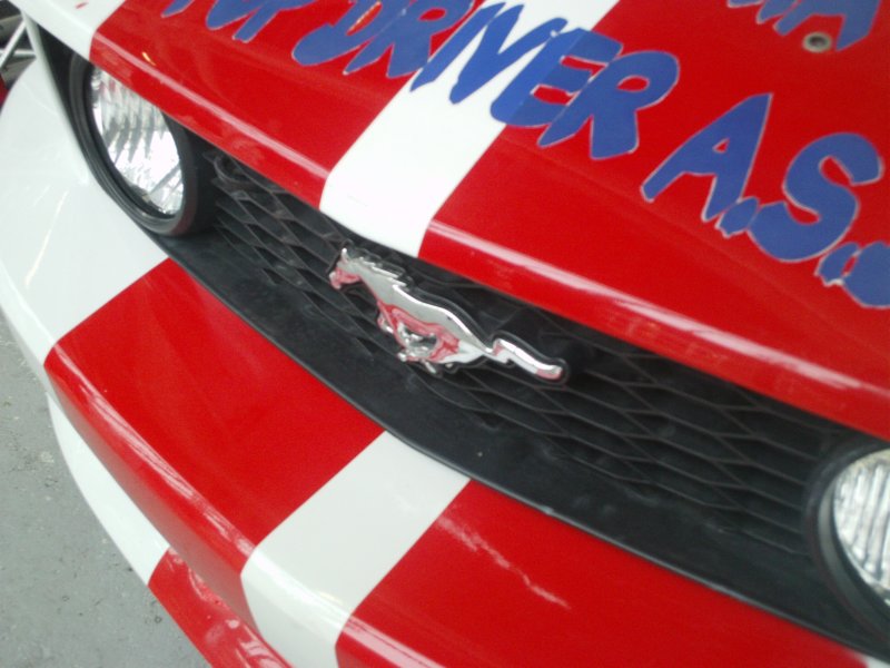 imag0095.jpg
